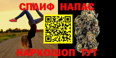 спиды Будённовск