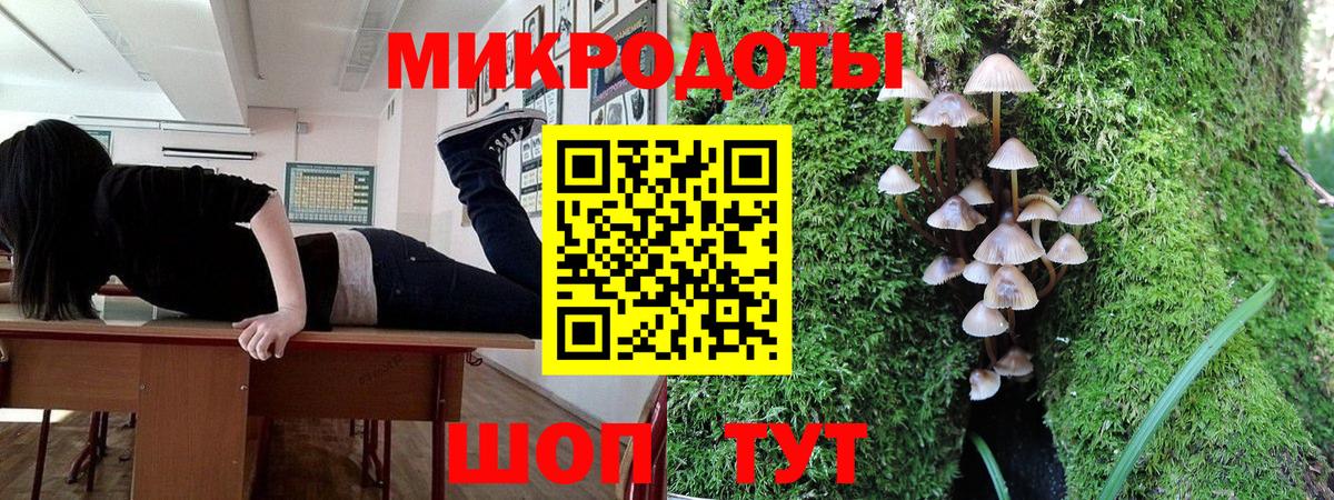 Галлюциногенные грибы Psilocybe Моздок