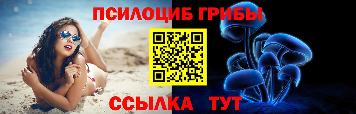 Моздок  Псилоцибиновые грибы Cubensis  Вход с VPN 